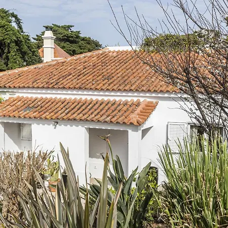 Estoril Contemporary Garden By Cadenzalux Вилла *