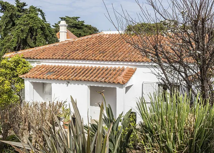 Estoril Contemporary Garden By Cadenzalux Villa *