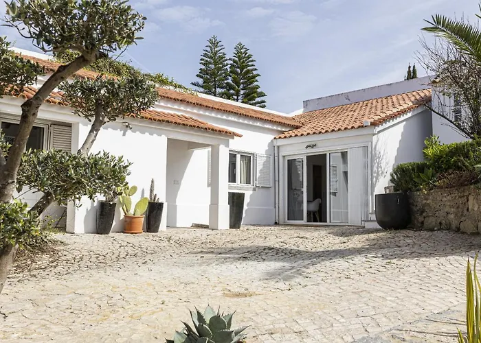 Estoril Contemporary Garden By Cadenzalux Villa Cascais
