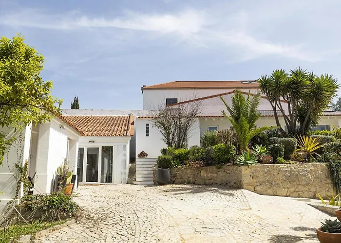 Vila Estoril Contemporary Garden By Cadenzalux *
